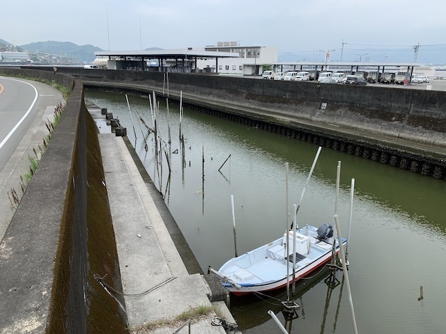 IMG_0039.jpeg