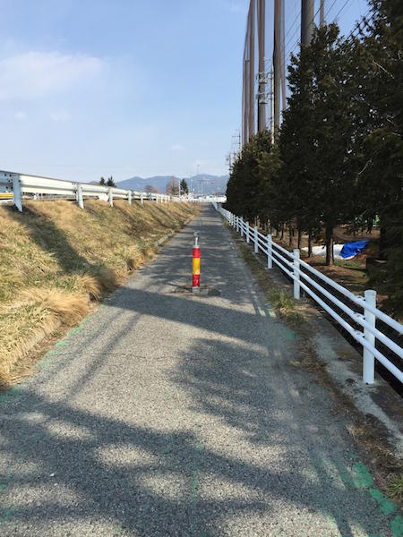 画像を等倍で表示します 画像