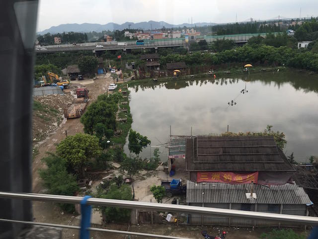 画像を等倍で表示します 画像