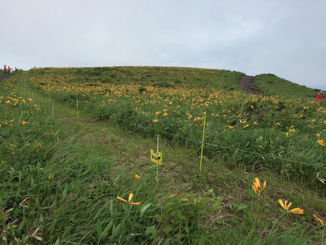 画像を等倍で表示します 画像