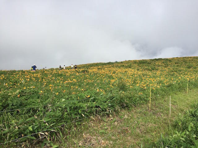 画像を等倍で表示します 画像