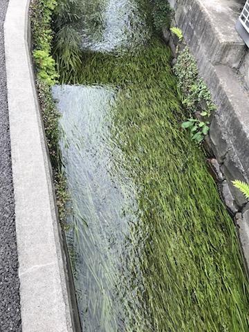 画像を等倍で表示します 画像