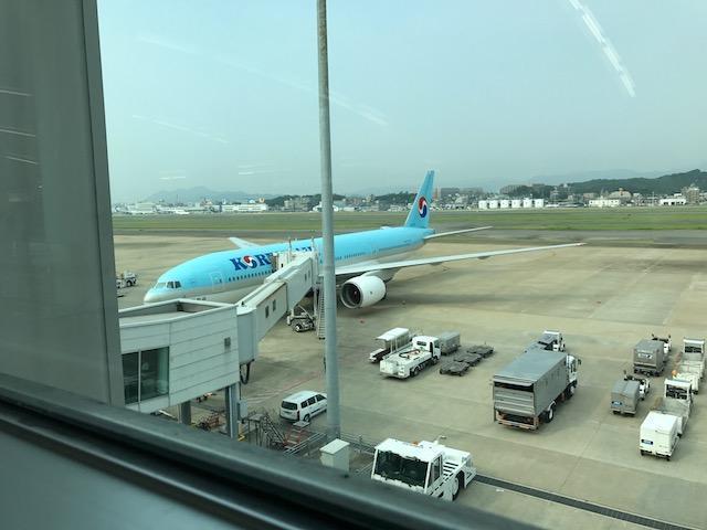 画像を等倍で表示します 画像
