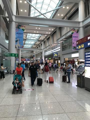 画像を等倍で表示します 画像