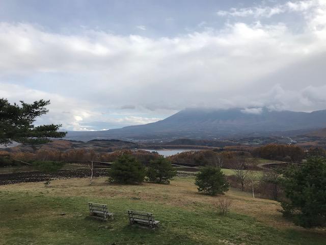 画像を等倍で表示します 画像