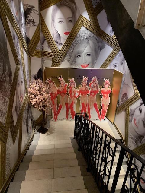 画像を等倍で表示します 画像