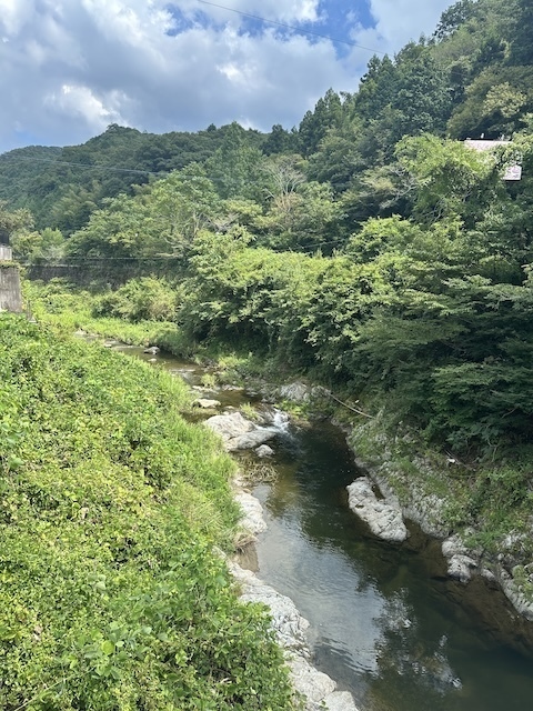 IMG_0545.jpeg