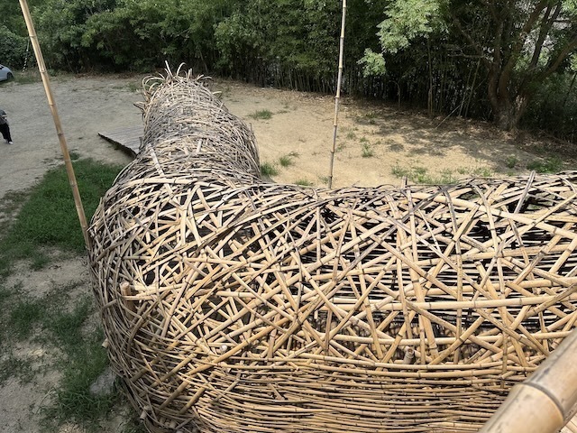 IMG_2019.jpeg