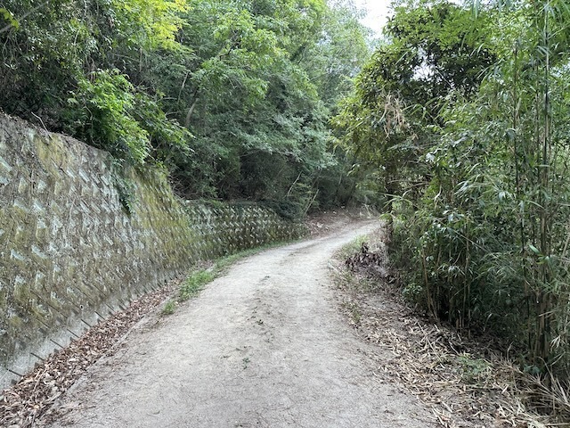 IMG_2021.jpeg