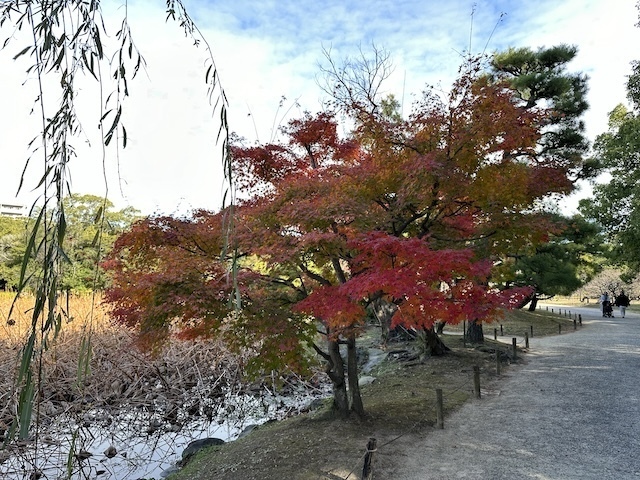 IMG_4039.jpeg