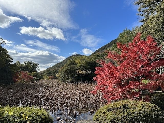 IMG_4049.jpeg