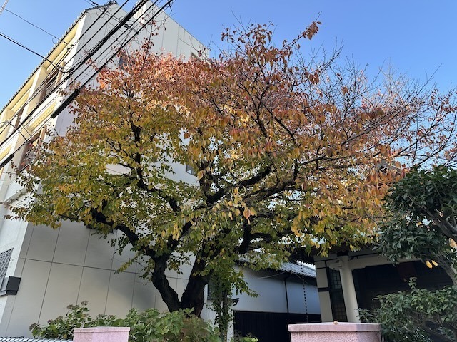 IMG_4104.jpeg