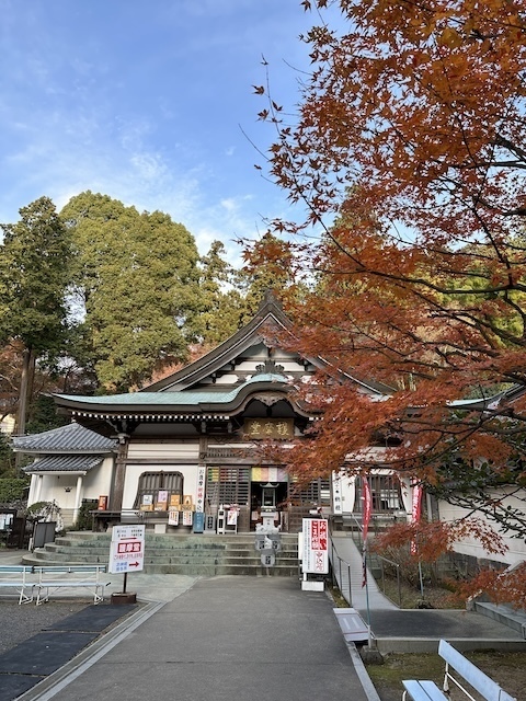 IMG_4188.jpeg