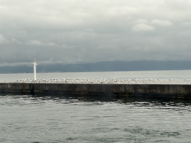IMG_4386.jpeg