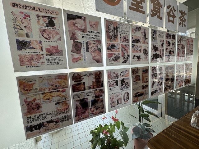 IMG_5656.jpeg
