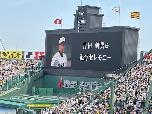 IMG_5774.jpeg