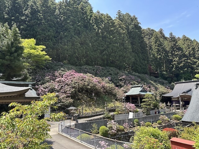 IMG_5912.jpeg