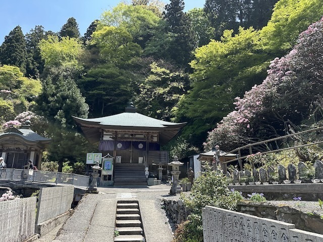IMG_5917.jpeg