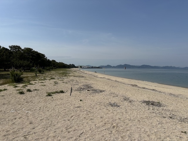IMG_5975.jpeg