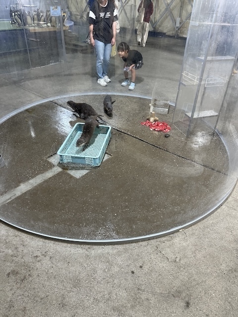 IMG_6311.jpeg