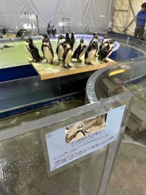 IMG_6312.jpeg