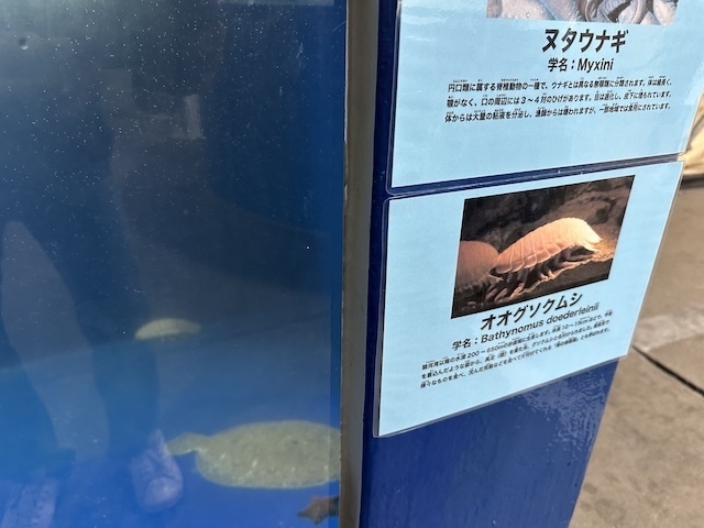 IMG_6314.jpeg
