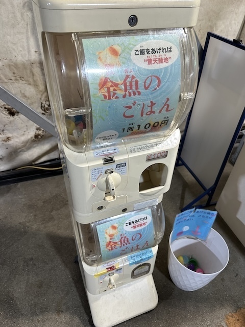 IMG_6335.jpeg