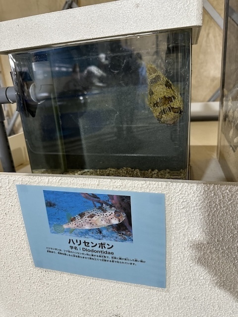 IMG_6364.jpeg