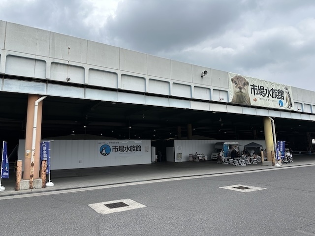 IMG_6383.jpeg