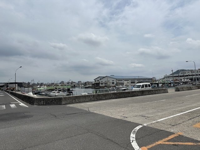 IMG_6386.jpeg