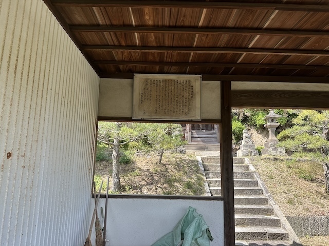 IMG_6411.jpeg