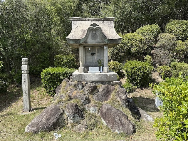 IMG_6412.jpeg