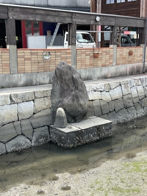 IMG_6416.jpeg