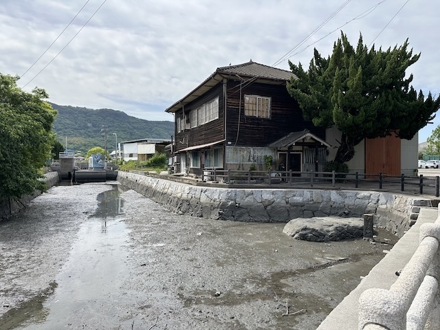 IMG_6417.jpeg