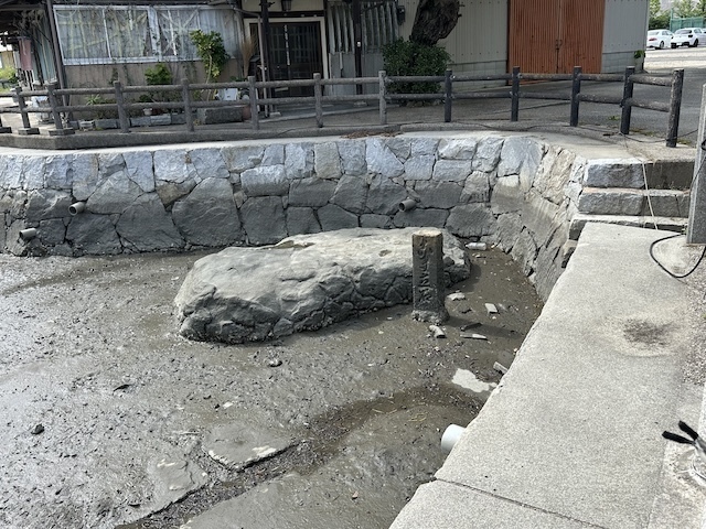 IMG_6418.jpeg
