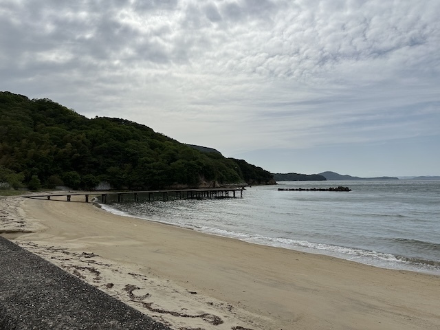 IMG_6432.jpeg