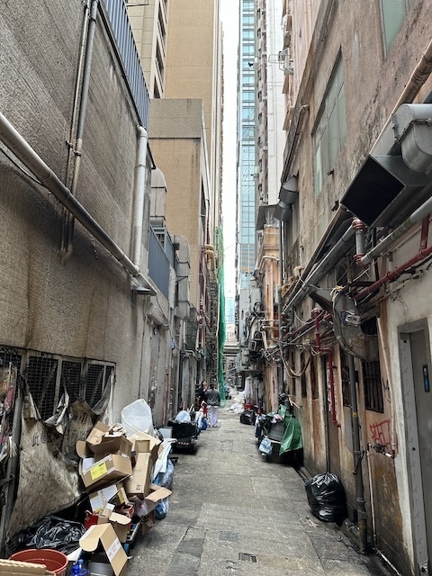 IMG_7600.jpeg